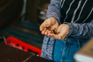 How Can You Travel Full-Time and Still Make Money?